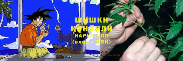 бошки Новозыбков