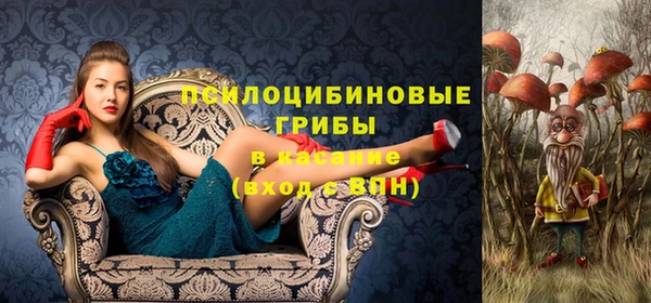 а пвп мука Алексеевка