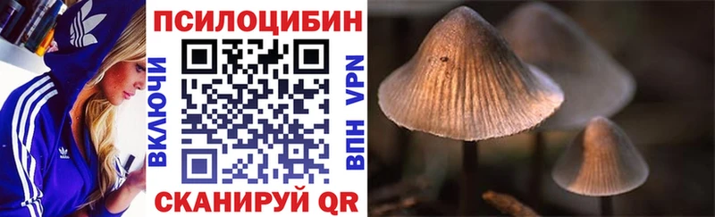 Псилоцибиновые грибы GOLDEN TEACHER  Покров 